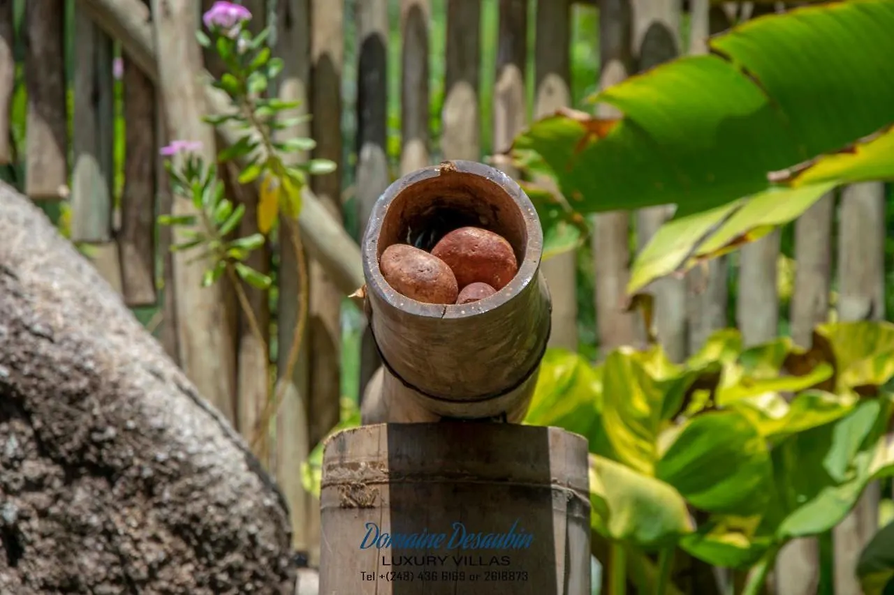 Domaine Desaubin Luxury Villas Takamaka Seychelles
