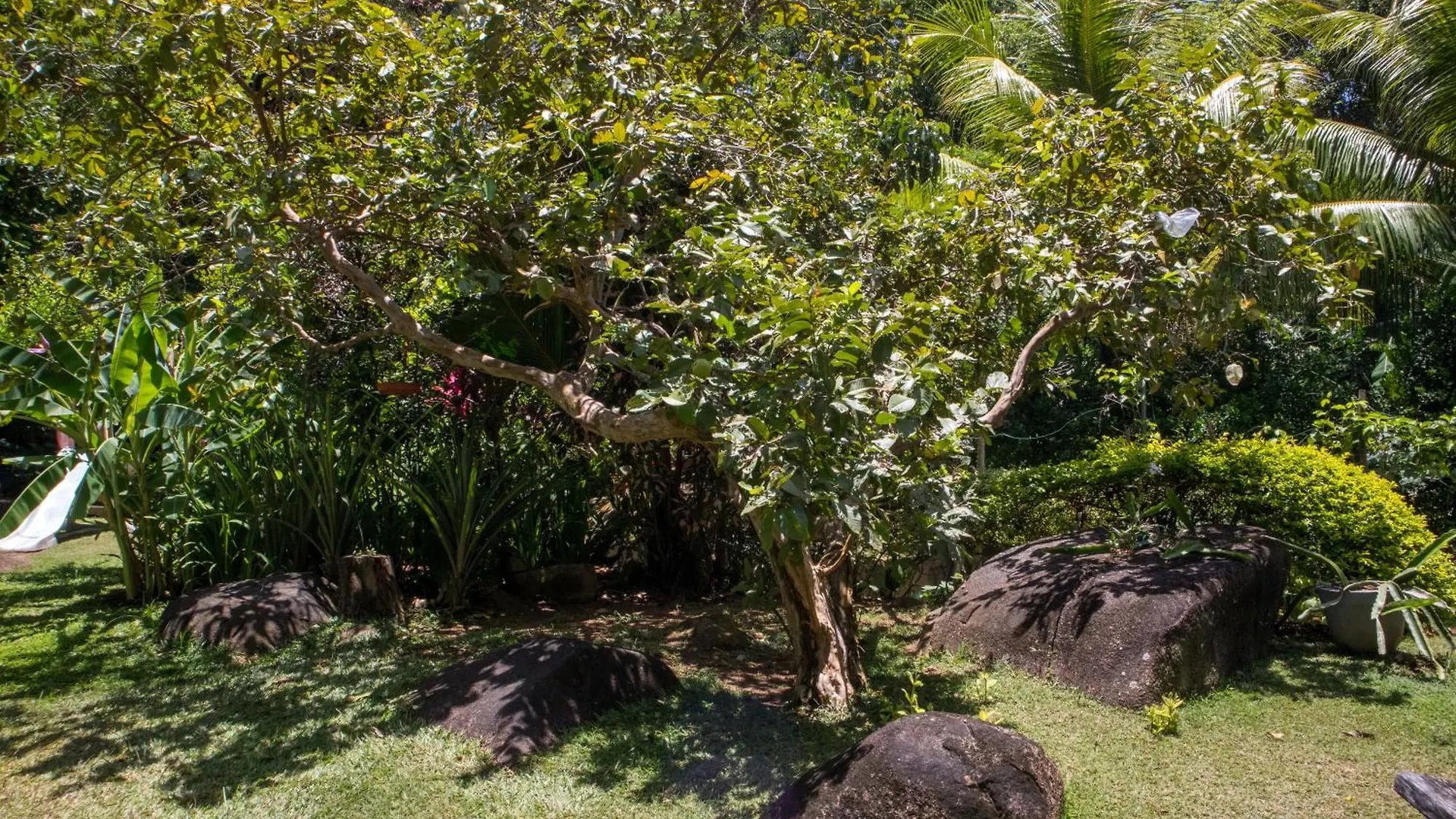 Domaine Desaubin Luxury Villas Takamaka Guest house